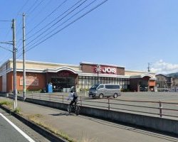 ジョイス盛岡東安庭店