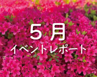 5月イベントレポート☆彡